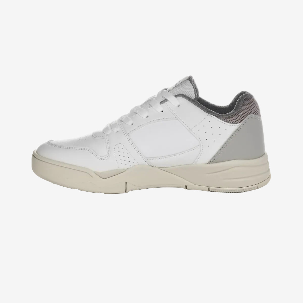 White and gray sneaker on a white background